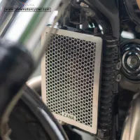 RADIATOR GUARD SILVER GT/INTERCEPTOR650
