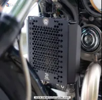 Radiator Guard For Bear 650 (Honeycomb,Aluminium,Black )
